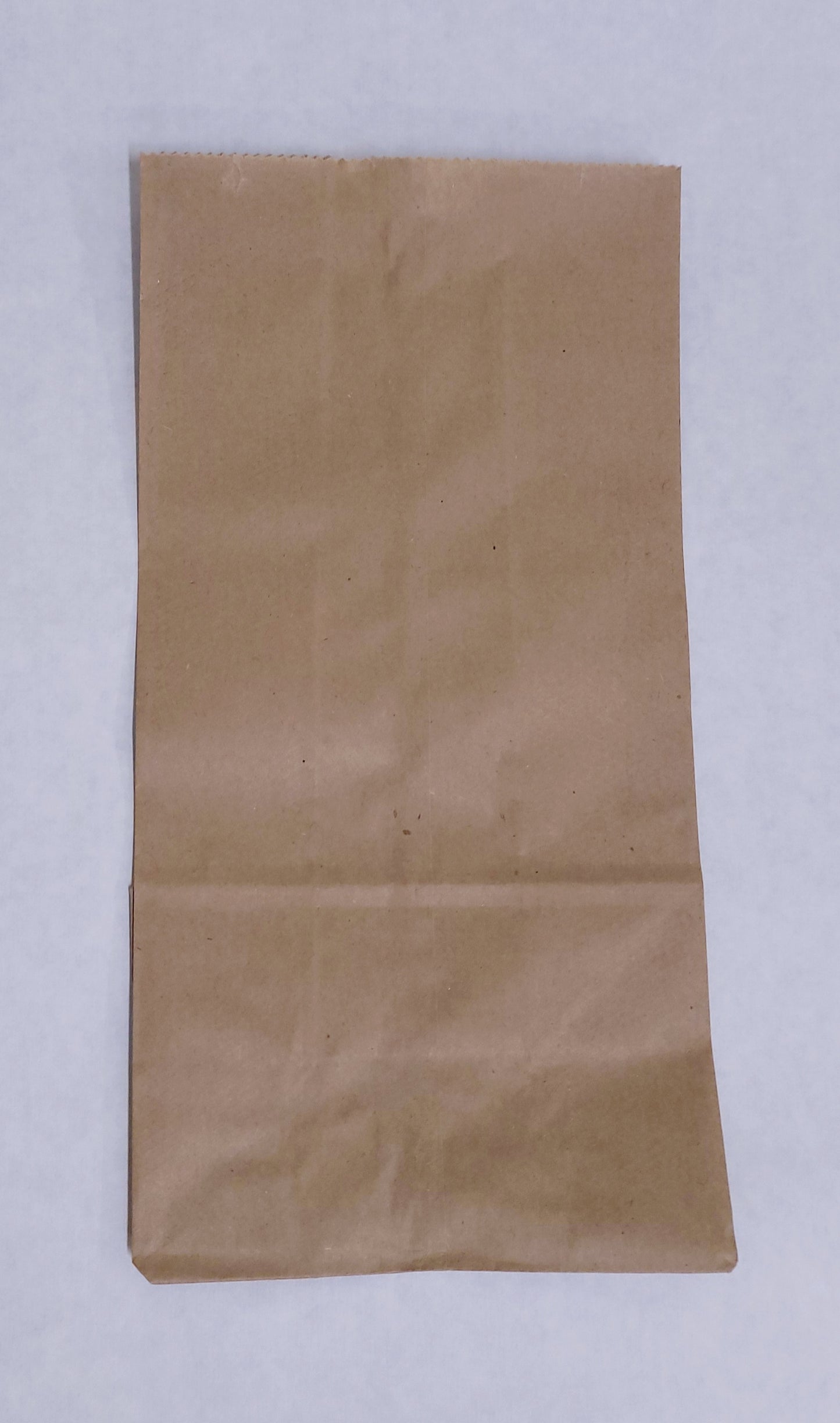 Paper Evidence Bags