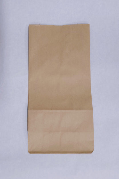 Paper Evidence Bags
