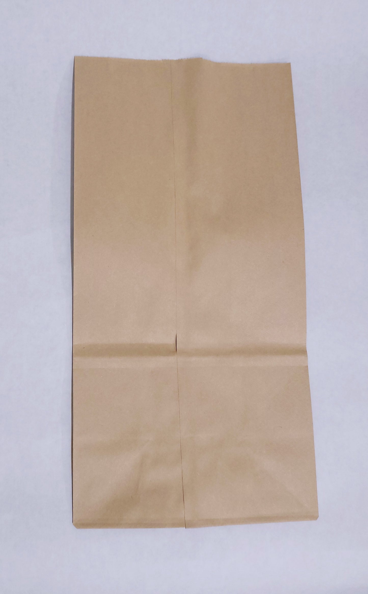 Paper Evidence Bags