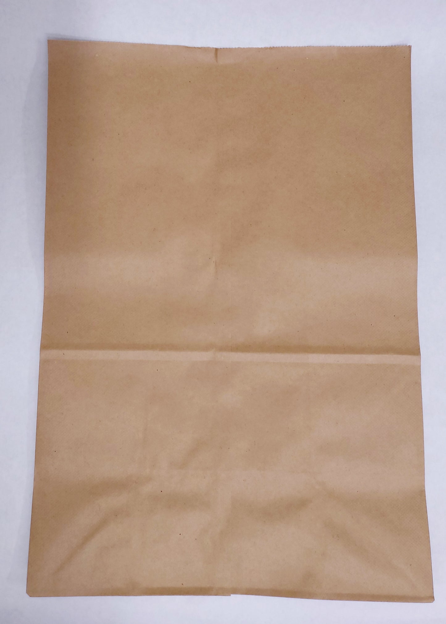 Paper Evidence Bags