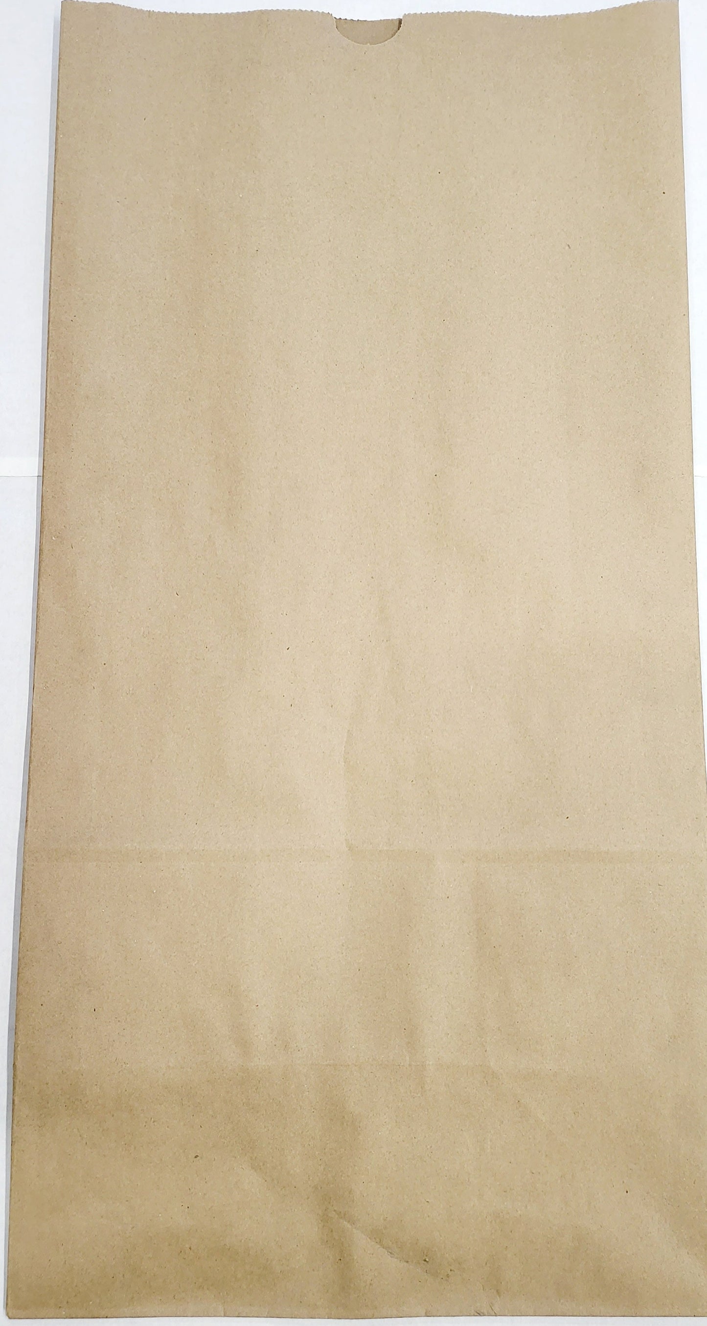 Paper Evidence Bags